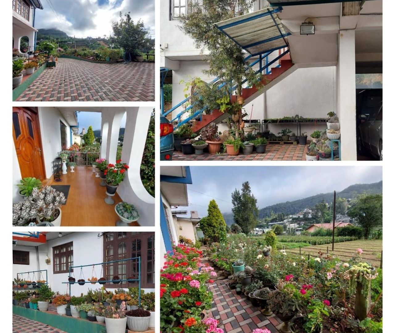 Guest house Aurora *
