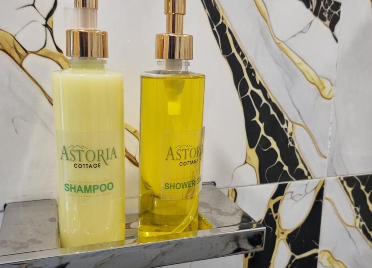 Astoria Hotel 3*