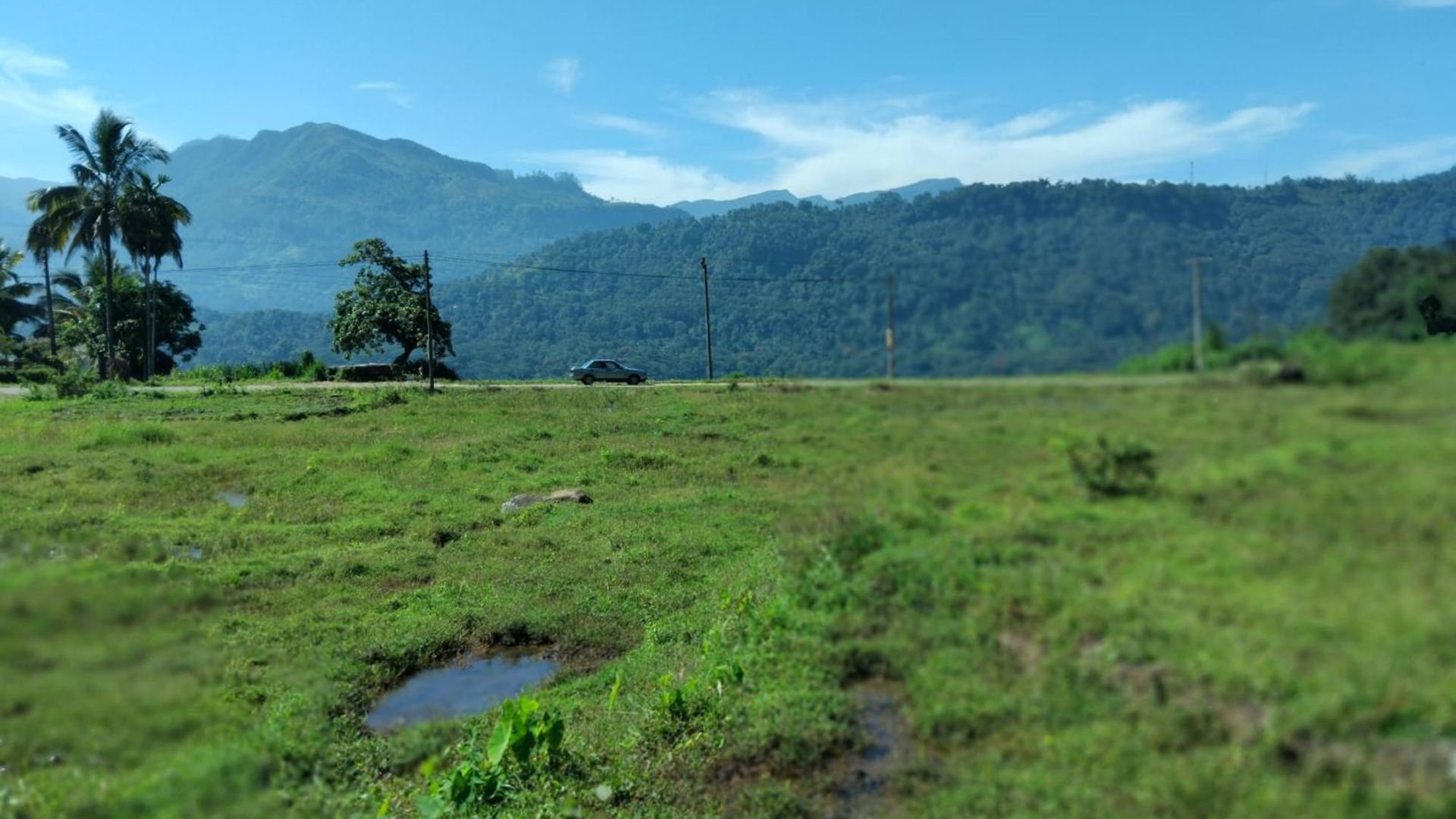 Ambewela Rangers Hotel Nuwara Eliya