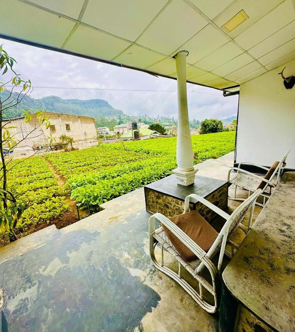 Hotel Silver Meir