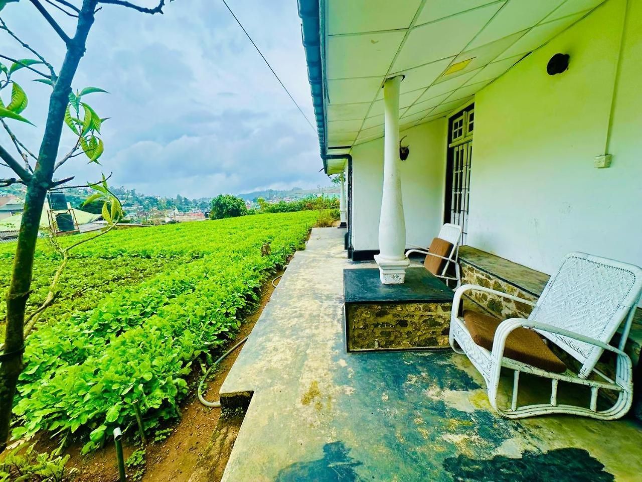 Hotel Silver Meir *