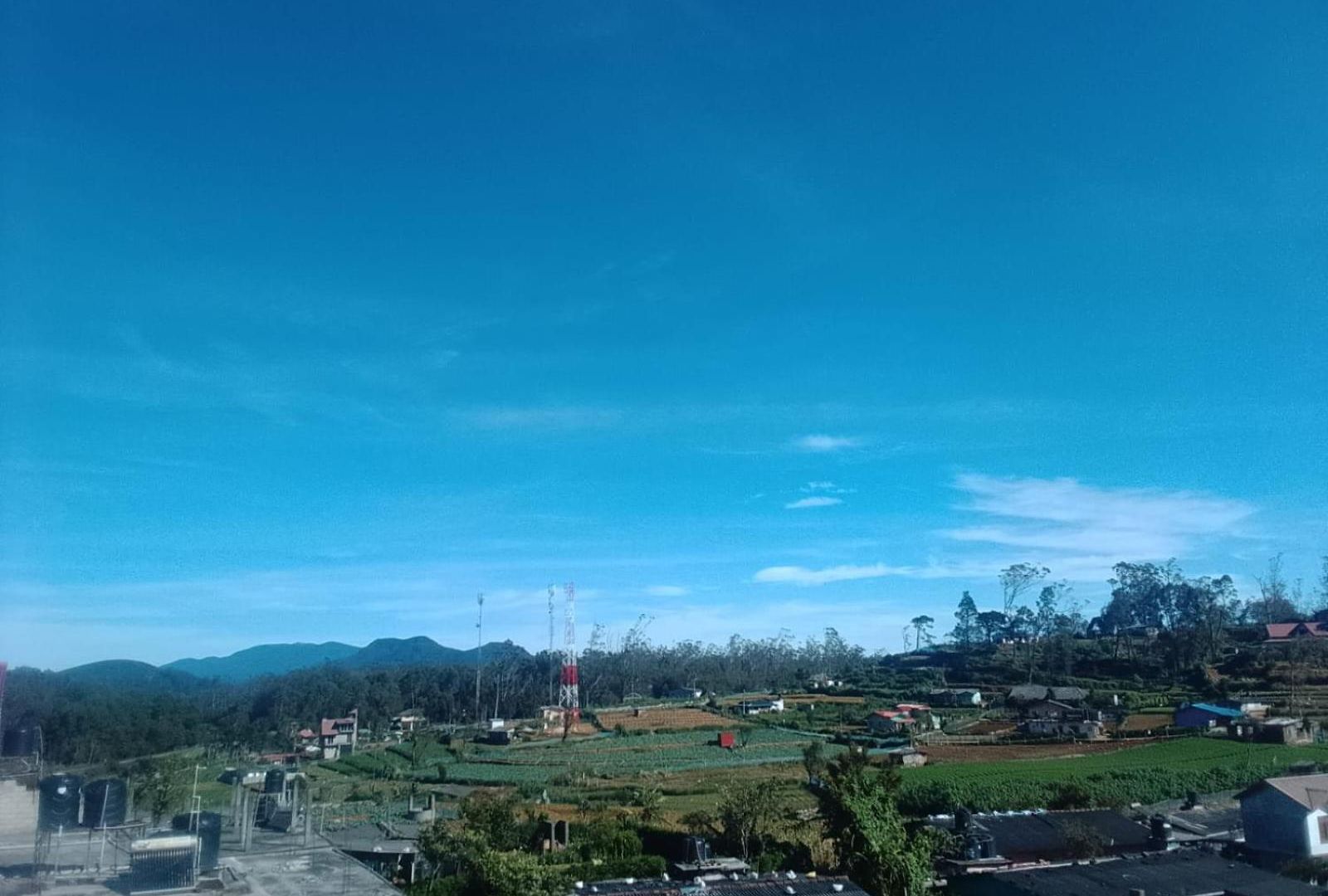 Bed & Breakfast Ambewela Pattipola Snowflak Rest Nuwara Eliya