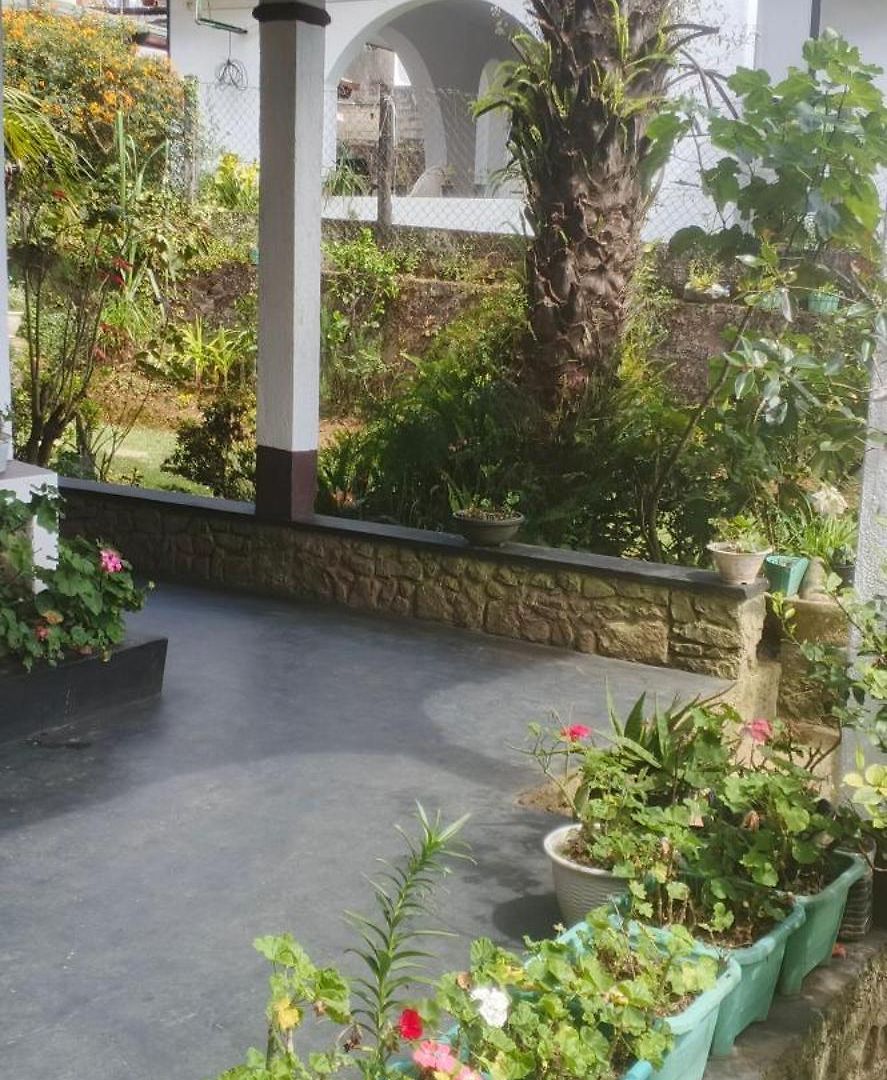 Cecilia Guest house