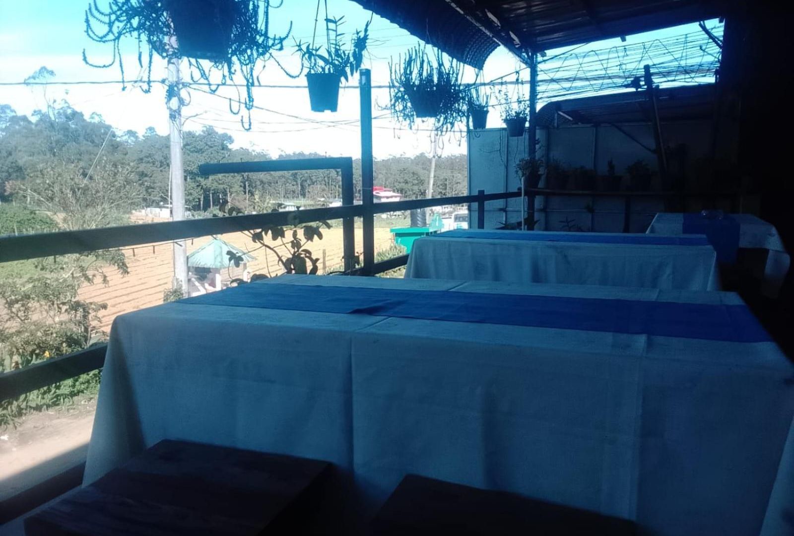 Ambewela Pattipola Snowflak Rest Bed & Breakfast
