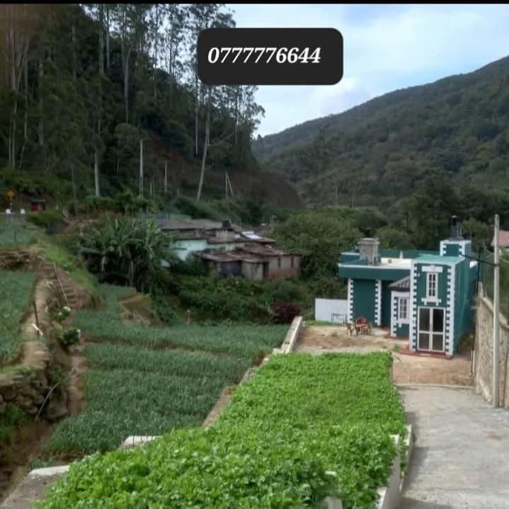 For Rent *