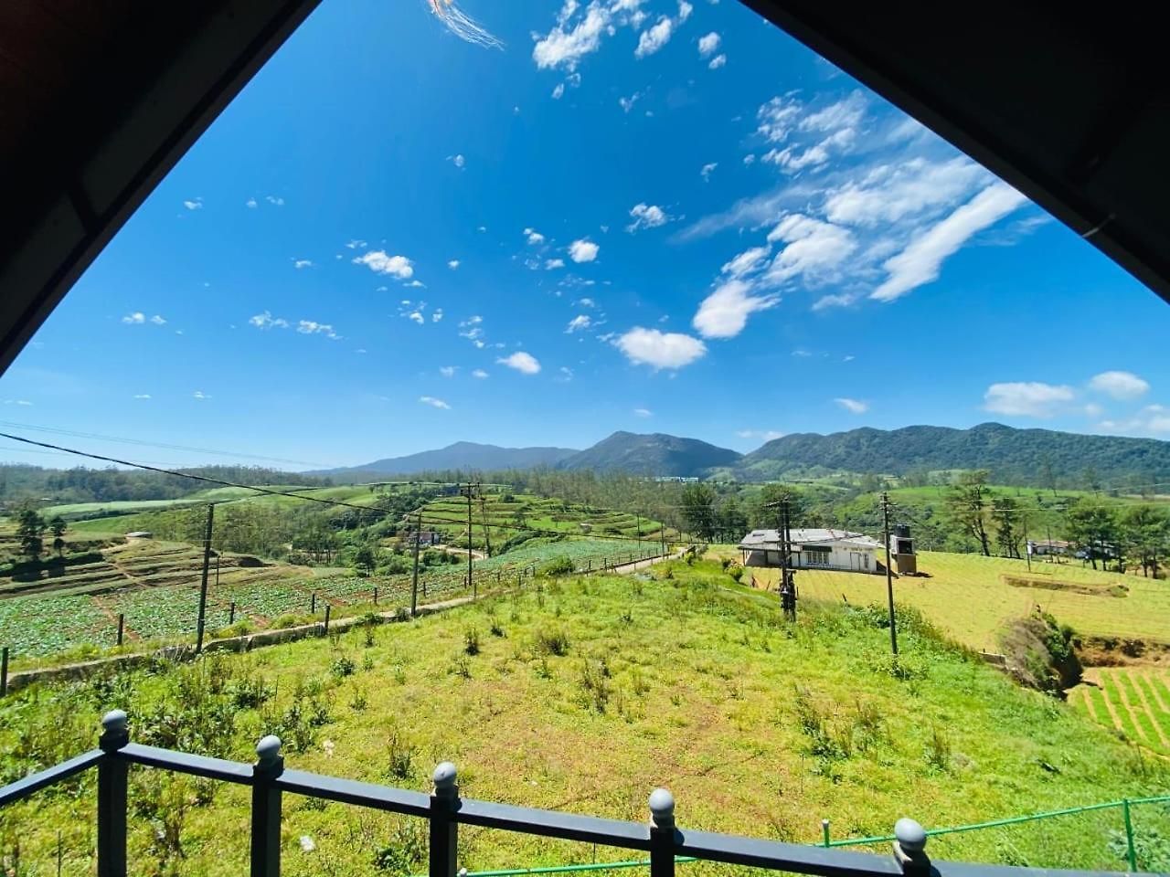 Freedom Peak Ambewela *