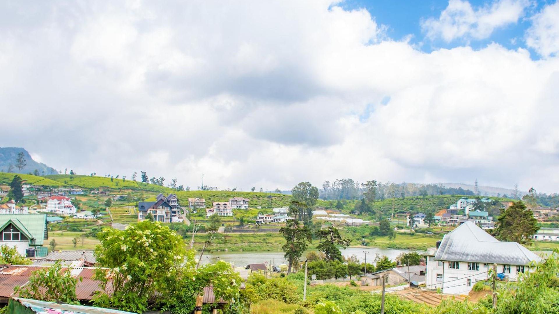 Dilru - Nuwara Eliya