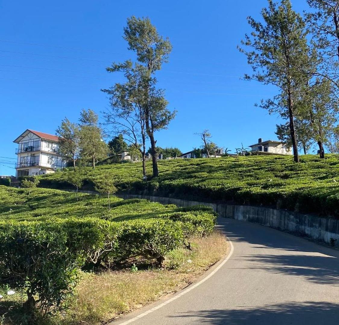 Twinkle Nuwara Eliya