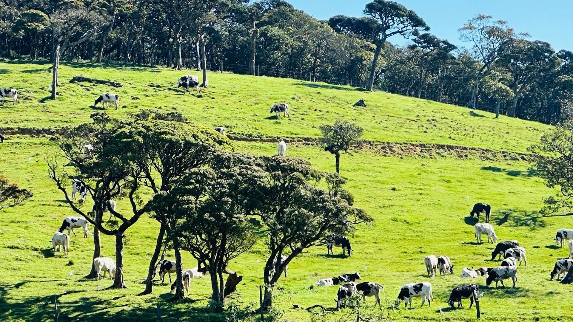 The Cottage Ambewela - Discover Horton Plains & Ella Train Journey Country house *
