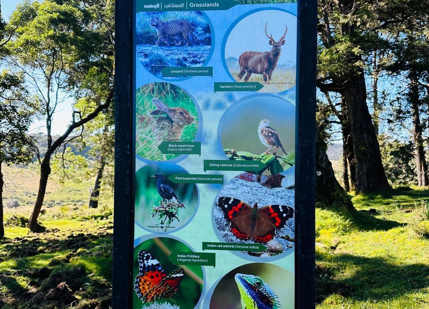 The Cottage Ambewela - Discover Horton Plains & Ella Train Journey * Nuwara Eliya