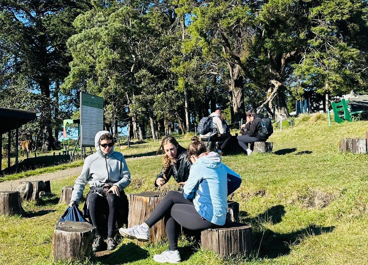 The Cottage Ambewela - Discover Horton Plains & Ella Train Journey Country house Nuwara Eliya