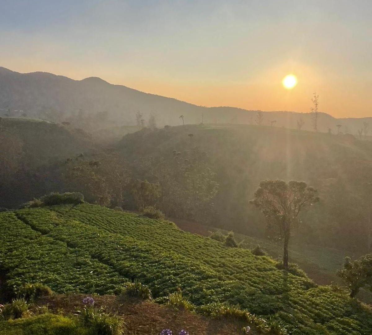 The Cottage Ambewela - Discover Horton Plains & Ella Train Journey Country house *