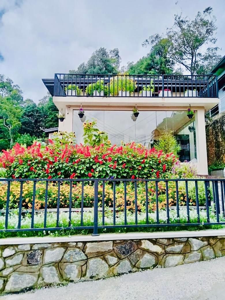 Clover Villa