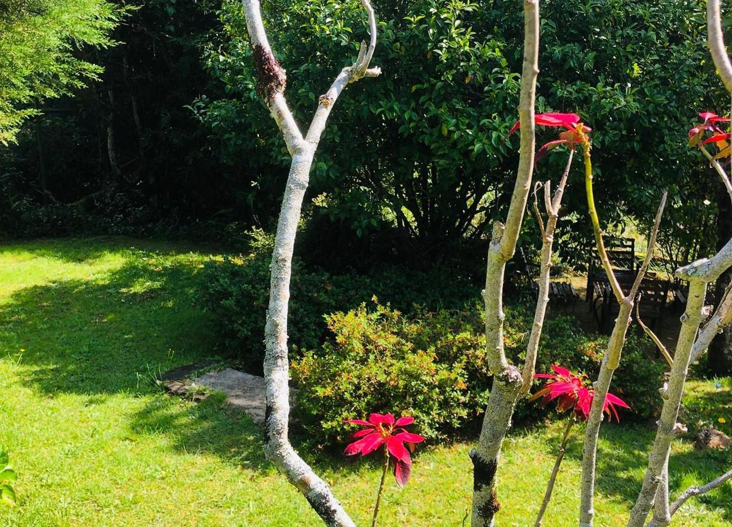 Tranquil Garden 3*