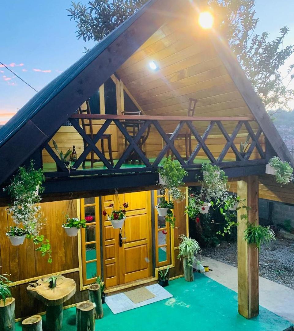 Homestay 20/20 Wood