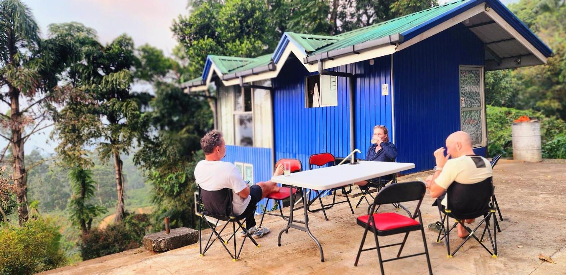 Kithul * Nuwara Eliya