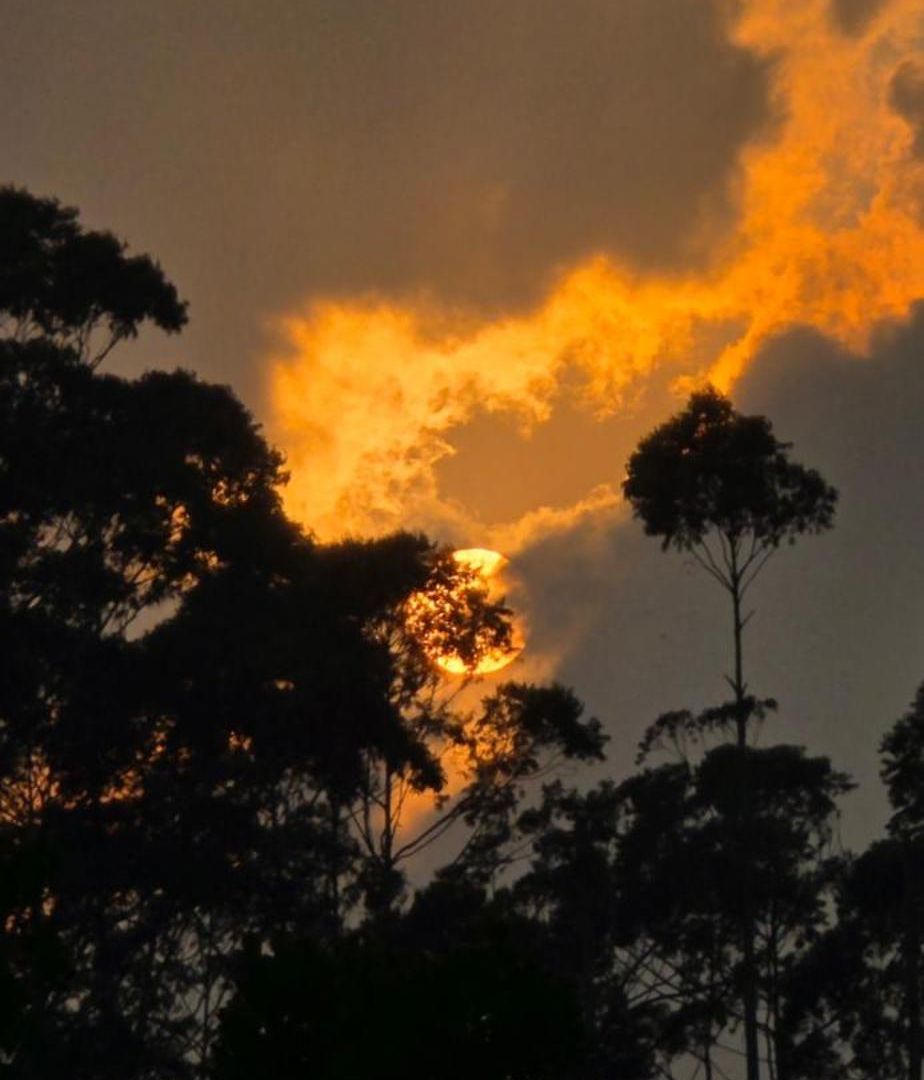 Kithul Nuwara Eliya