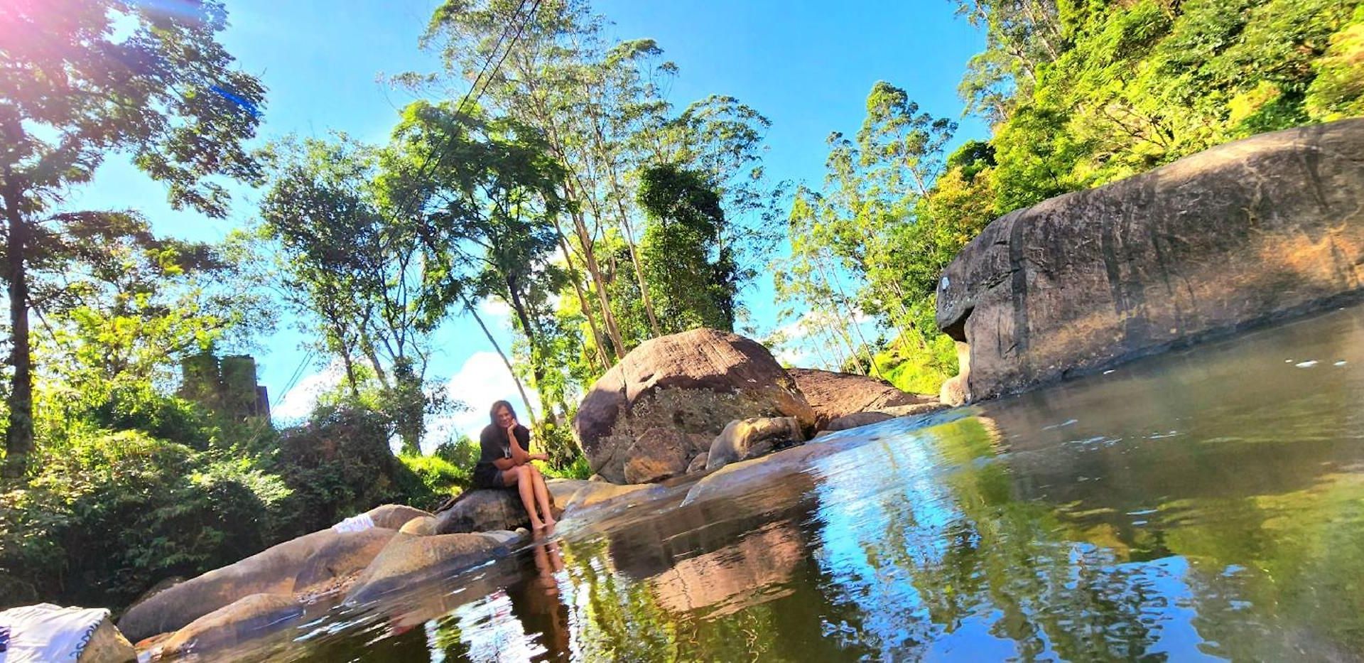 Kithul * Nuwara Eliya
