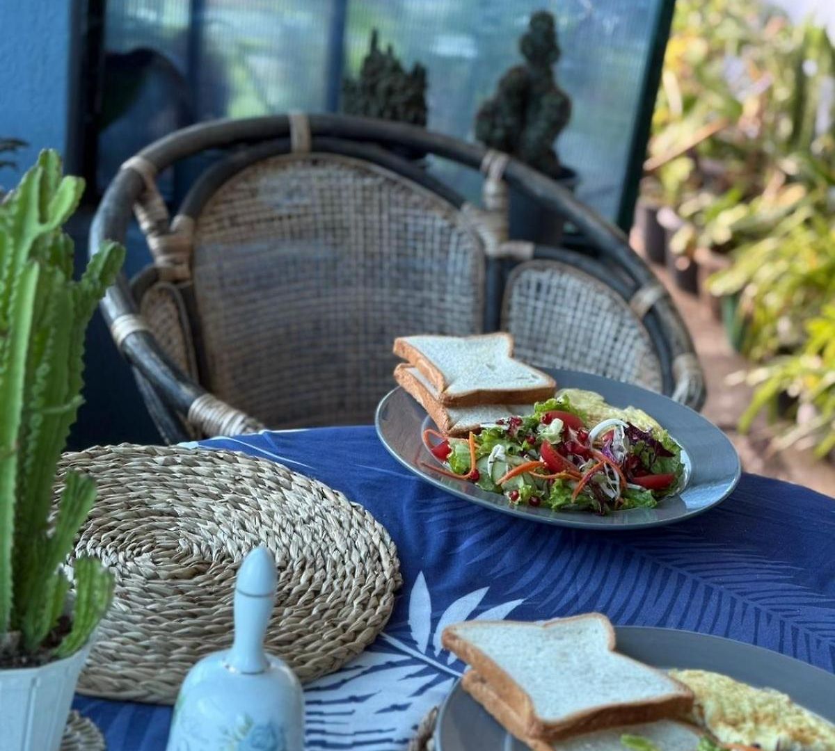 Homestay Succulent