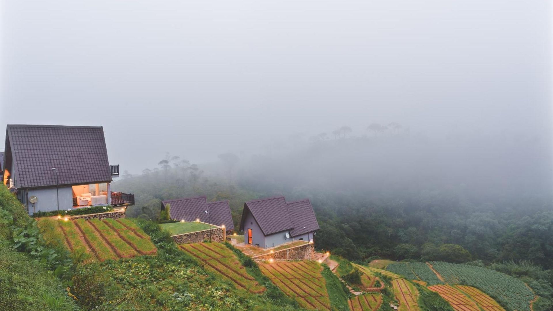 Bellevue By Pushella Hotel *