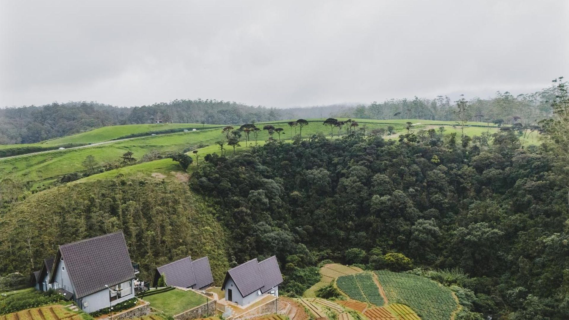 Bellevue By Pushella * Nuwara Eliya