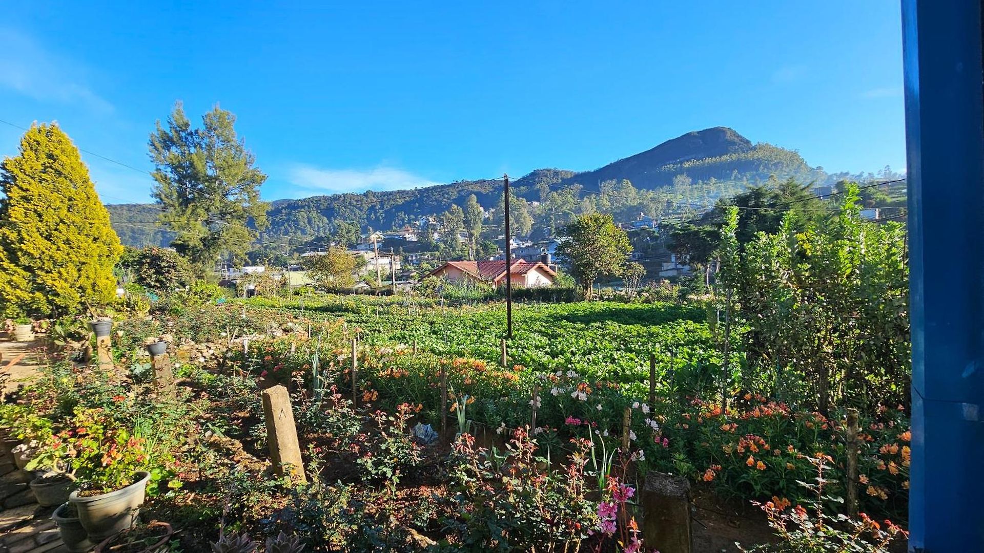 Guest house Aurora Nuwara Eliya