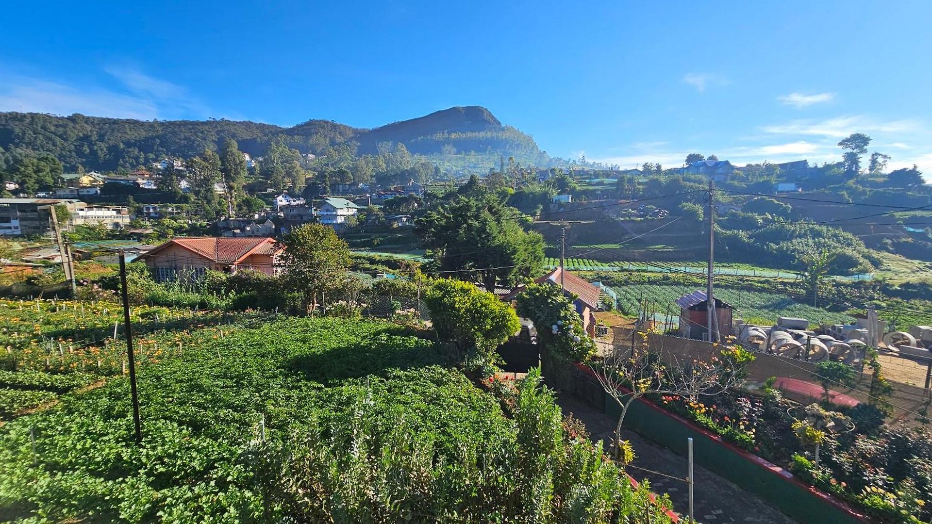 Aurora * Nuwara Eliya