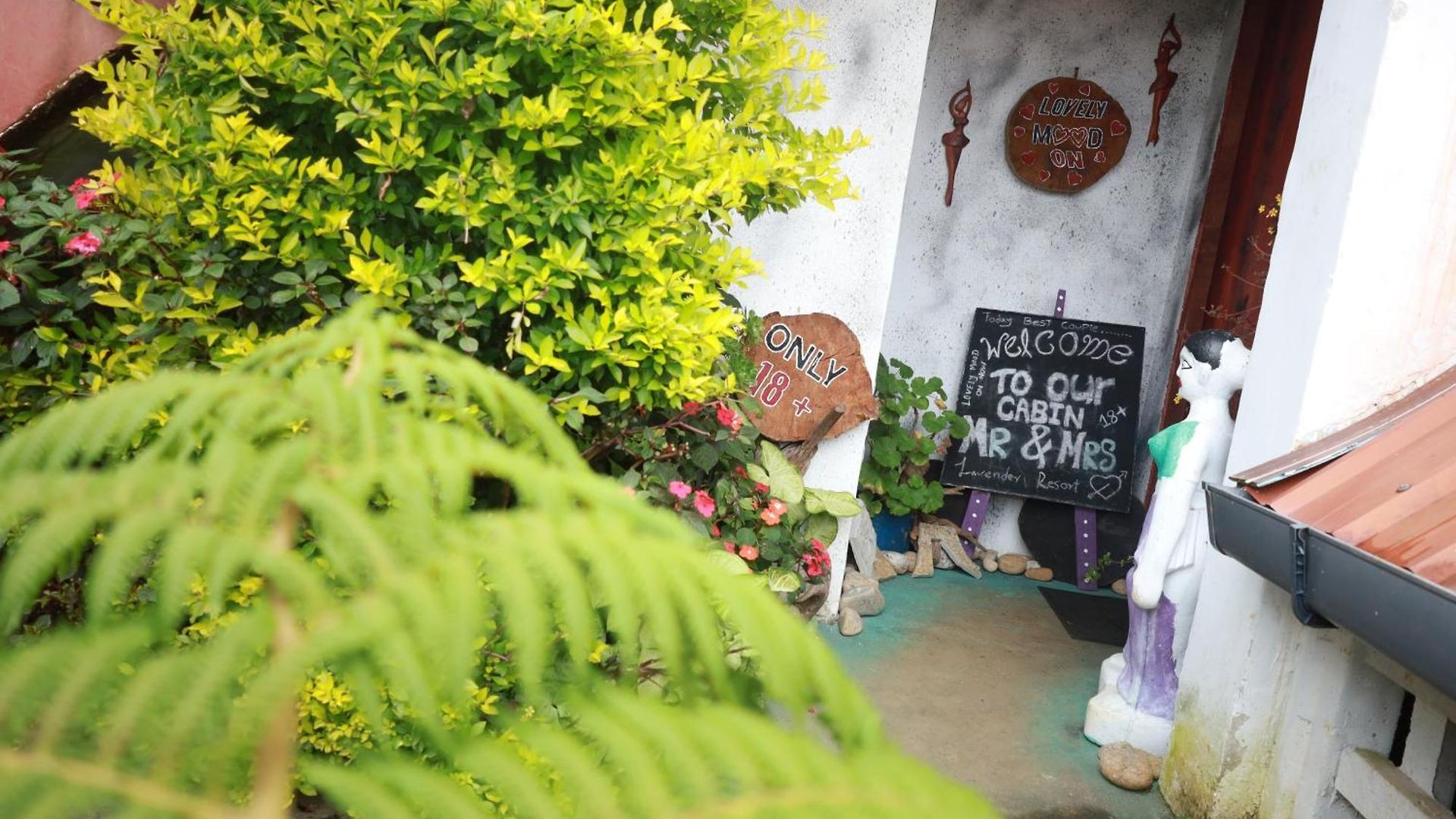 Lavender & Wood Hotel