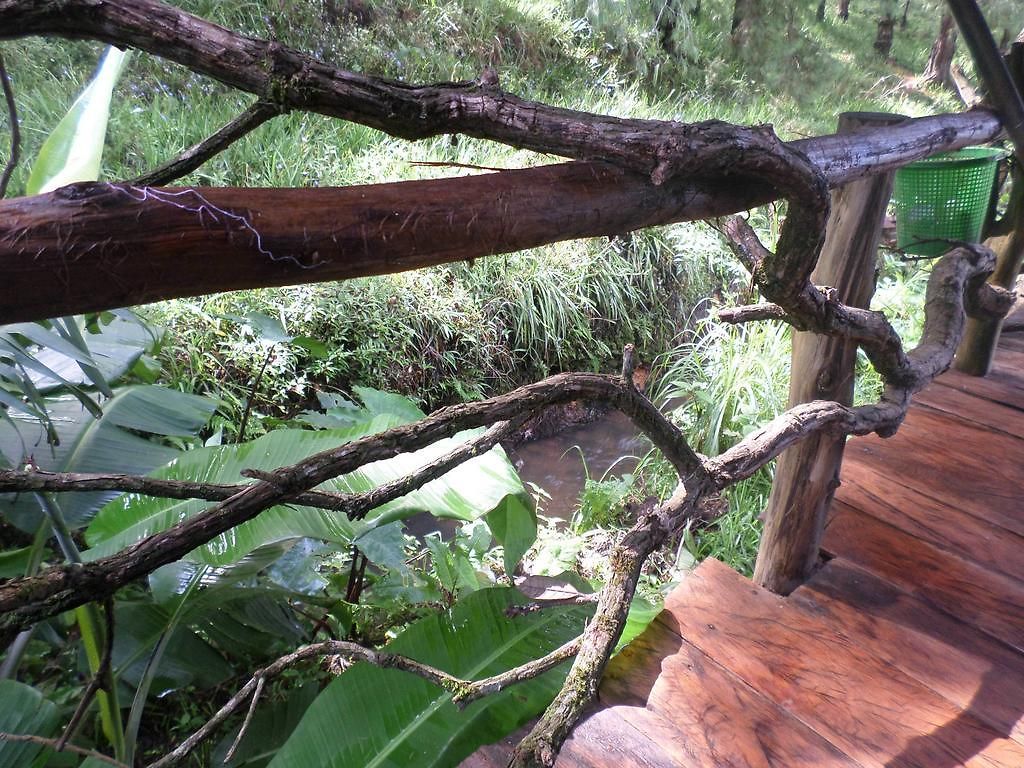 Moon Plains Forest Log Chalet *