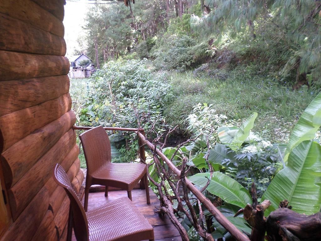 Chalet Moon Plains Forest Log Nuwara Eliya