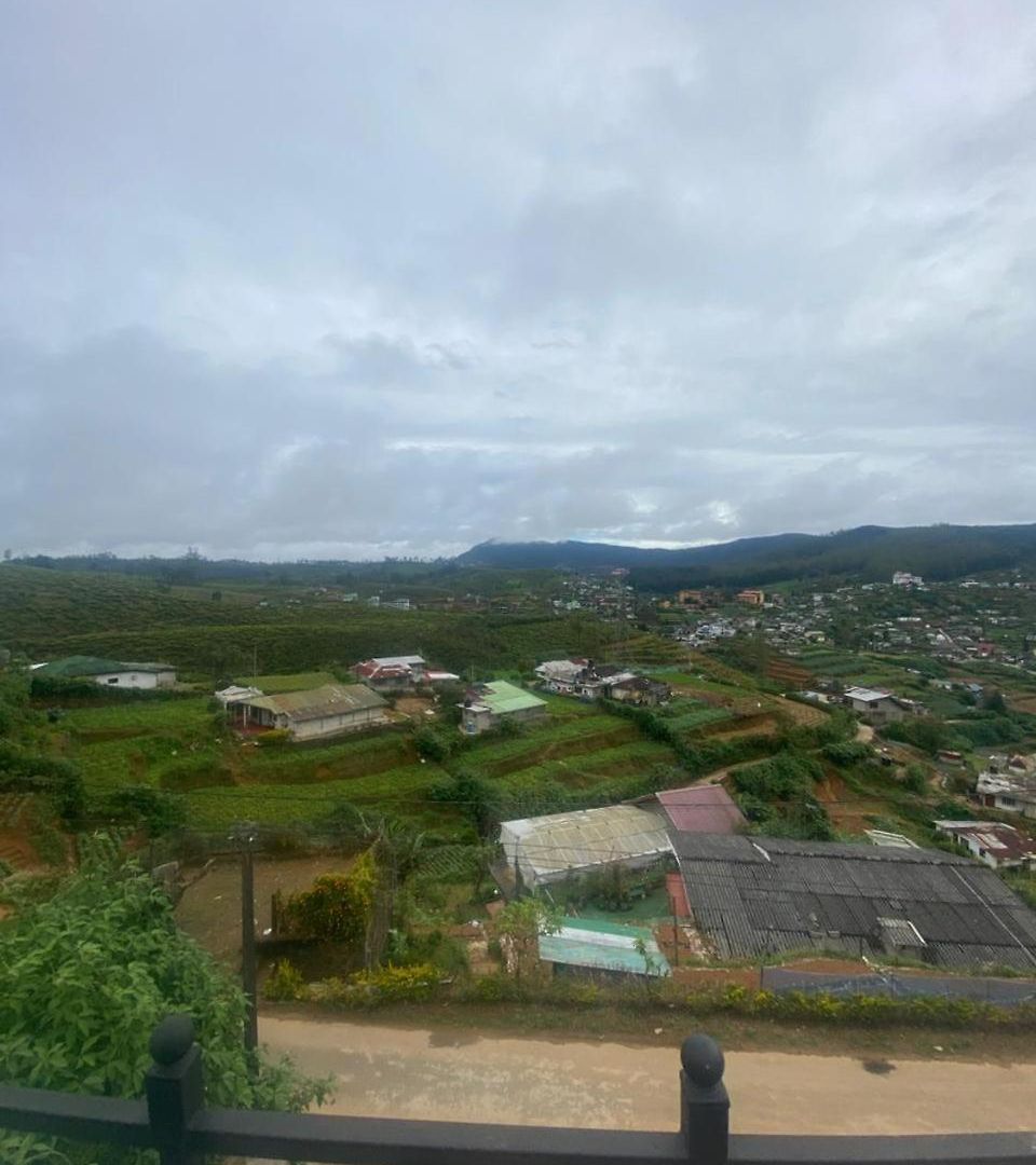 Puremind * Nuwara Eliya
