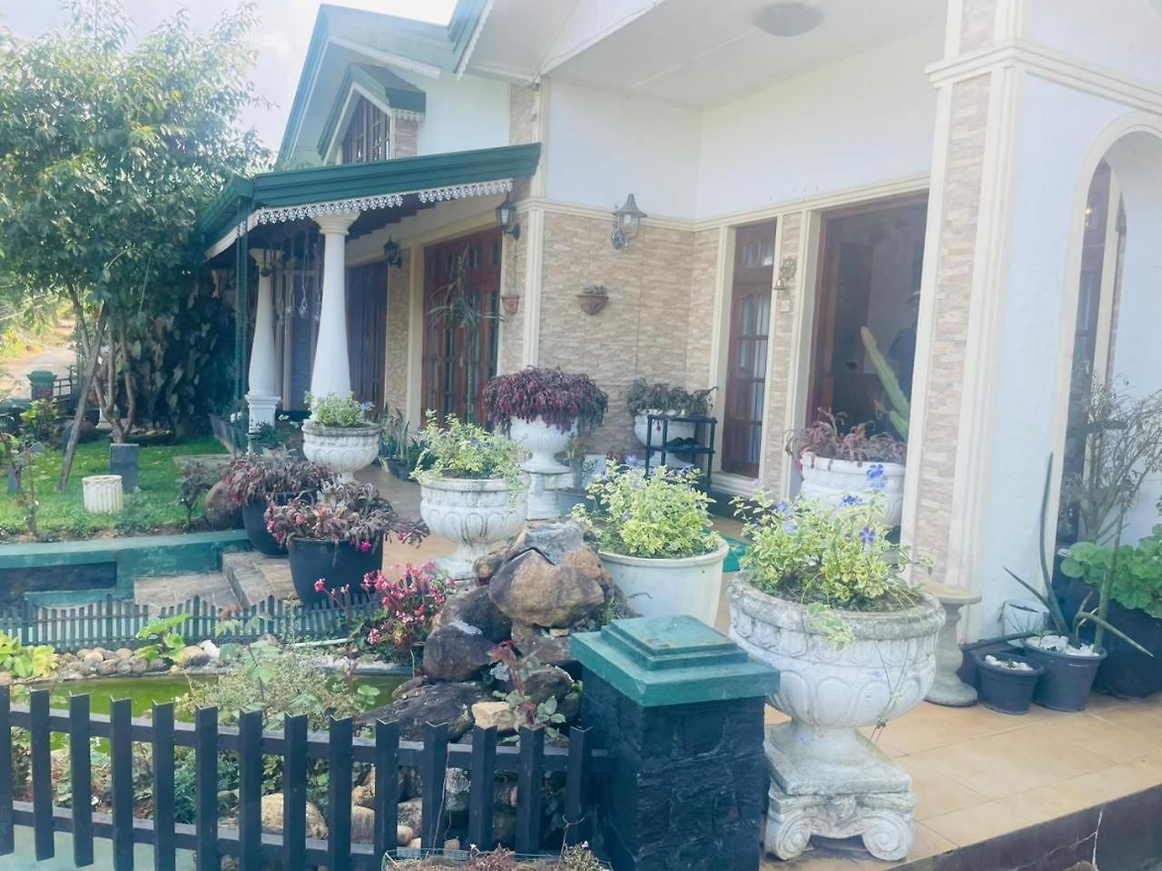 Serene Max Bed & Breakfast *