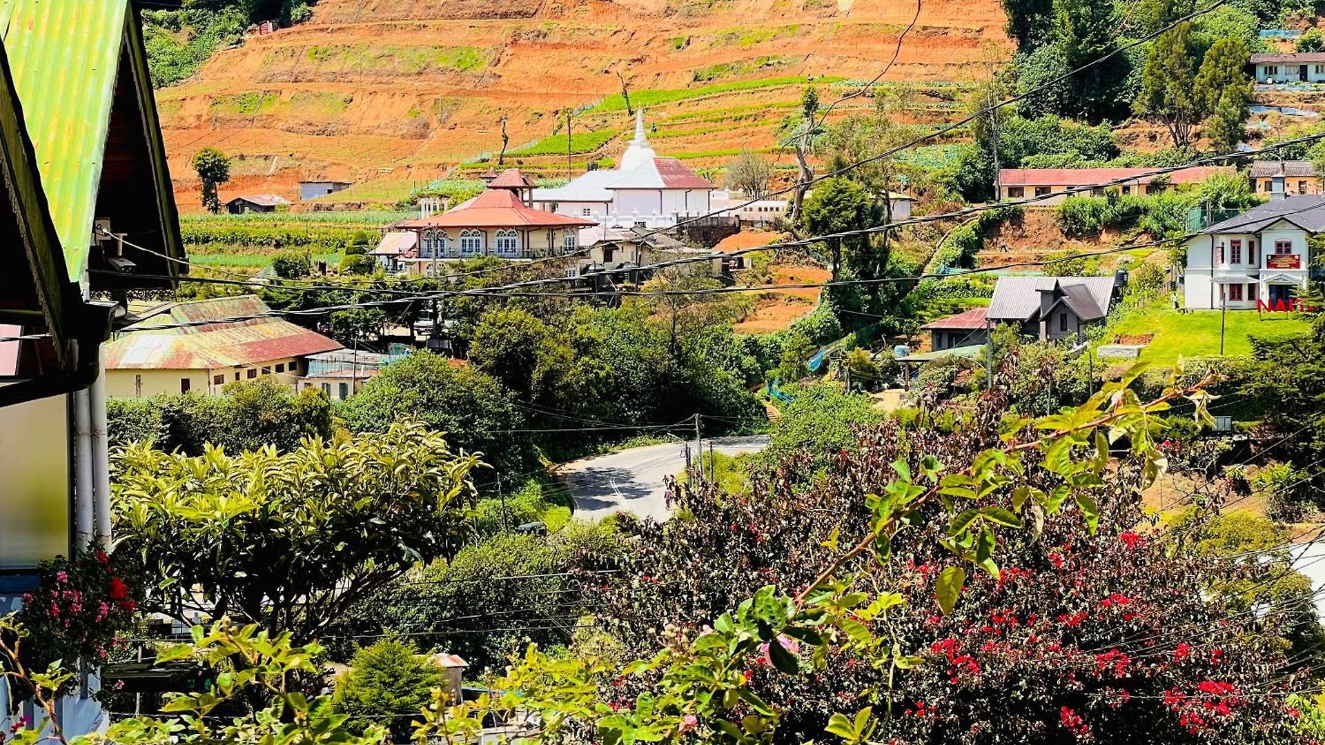 Hill Side View