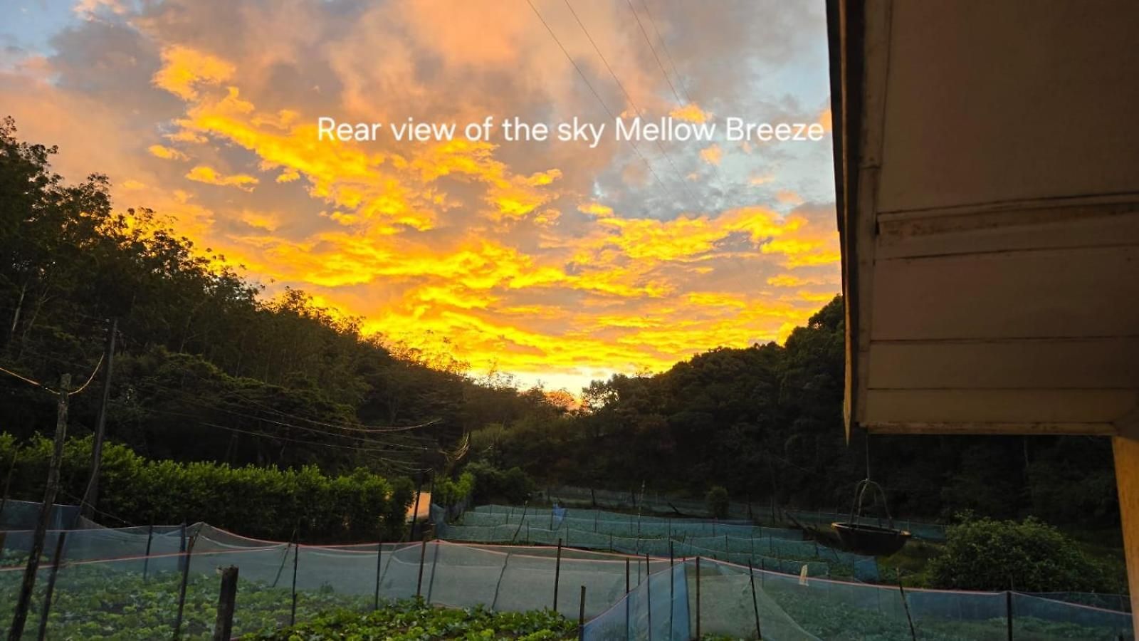 Guest house Mellow Breeze Nuwara Eliya