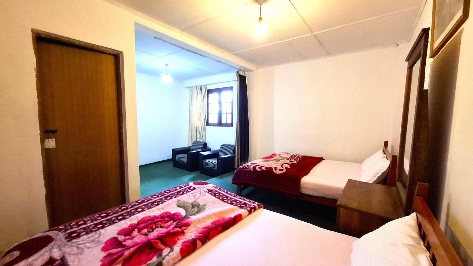 Panthera Guest house *