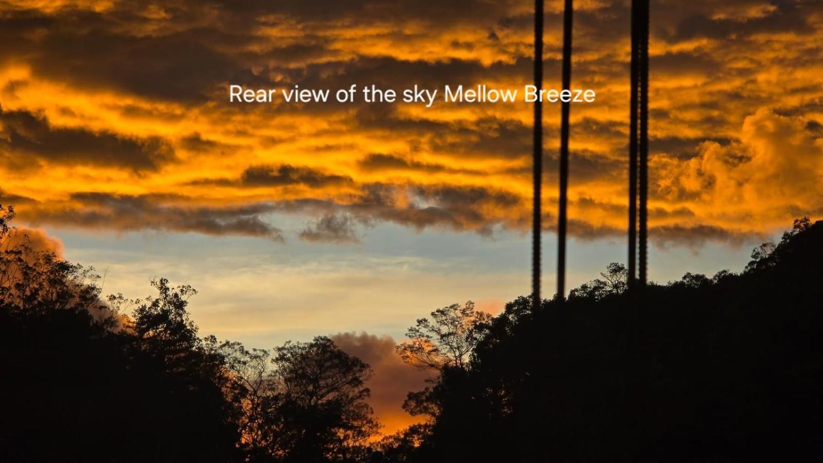 Mellow Breeze Guest house