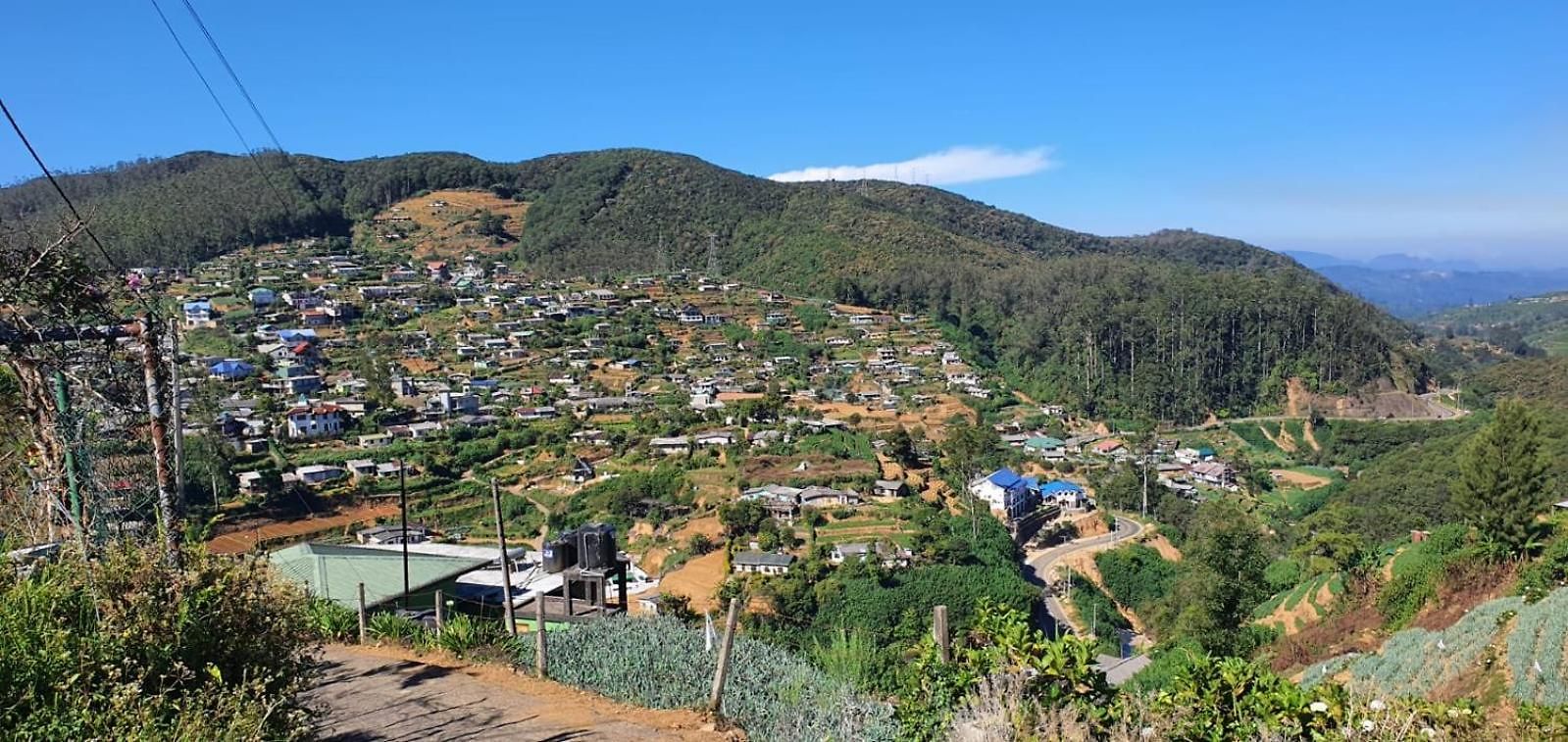 Nim's Haven * Nuwara Eliya