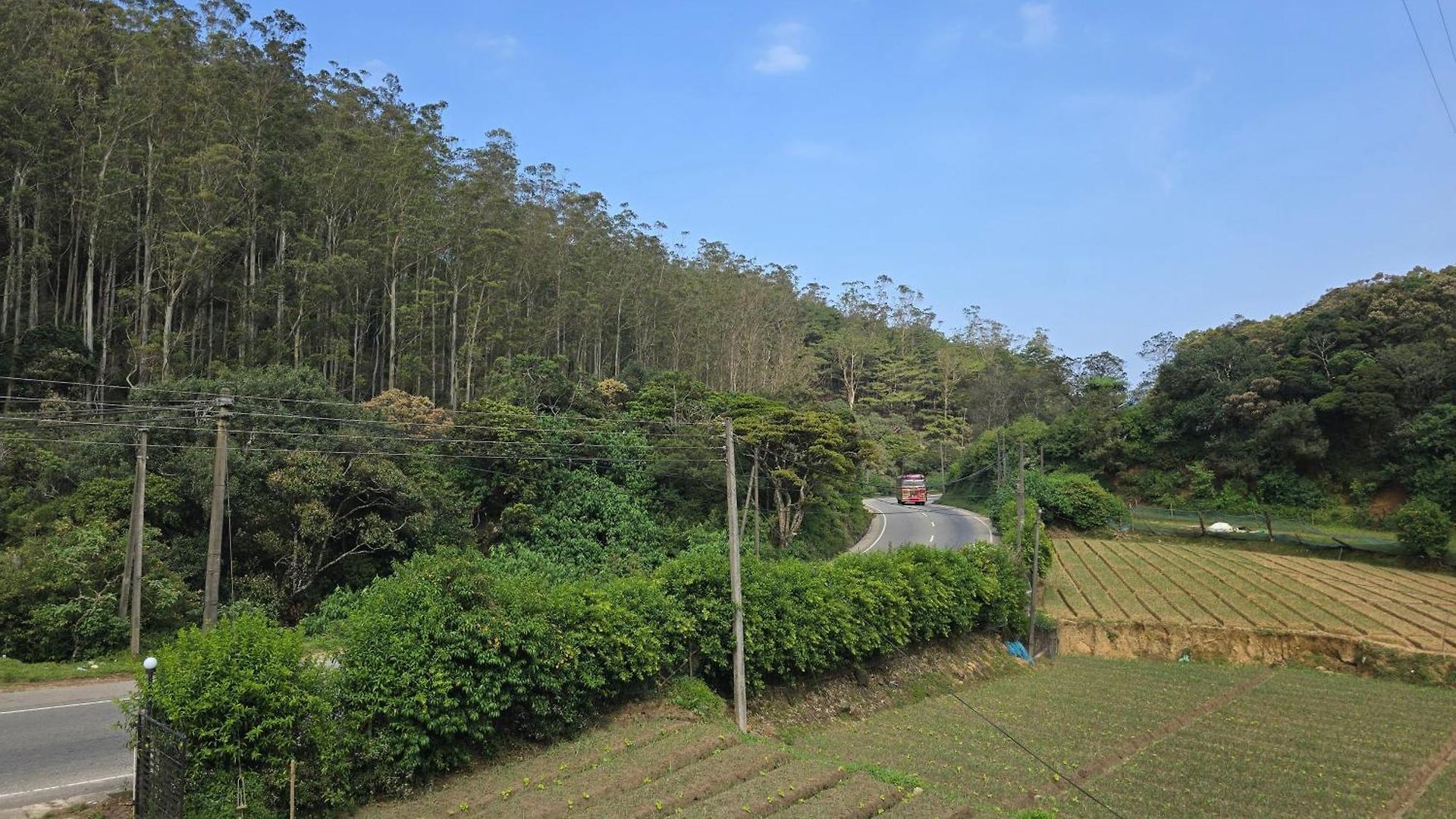 Mellow Breeze Guest house Nuwara Eliya