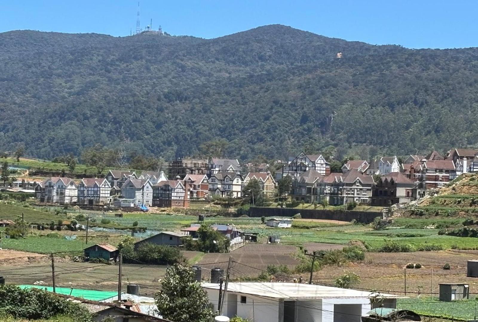 Full Moon * Nuwara Eliya