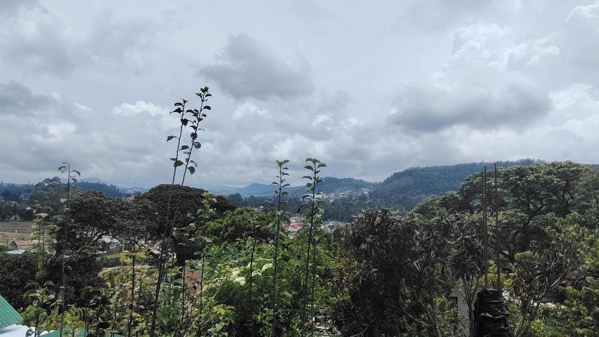 B&B Nuwara Eliya 3* Nuwara Eliya