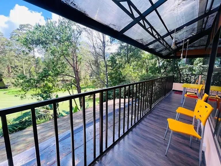King Fern Guest house