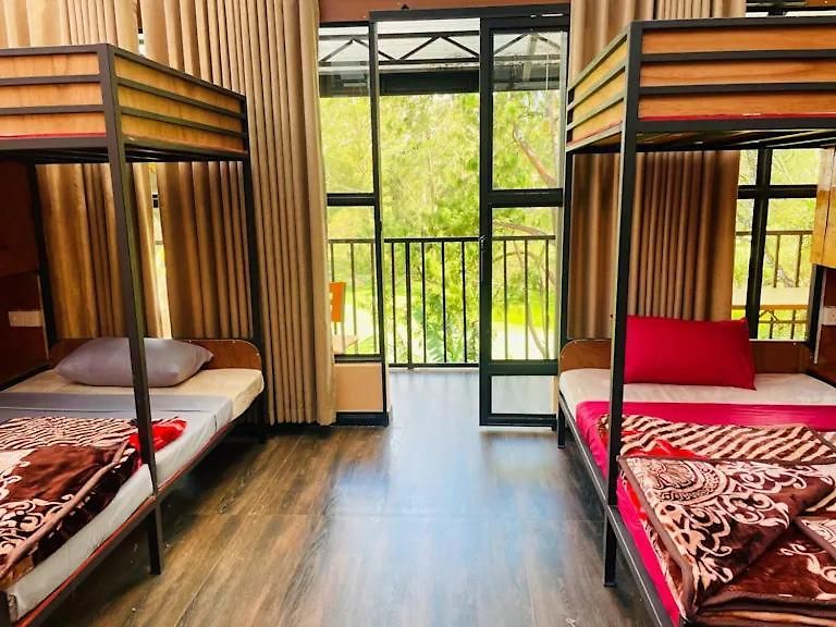 King Fern Guest house *