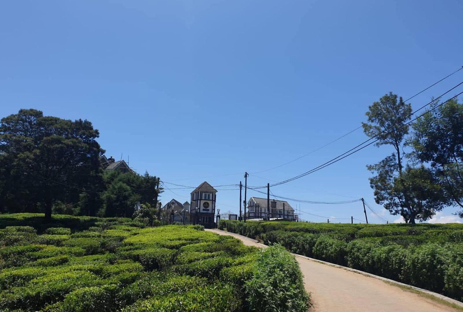 Stratford - Nuwara Eliya