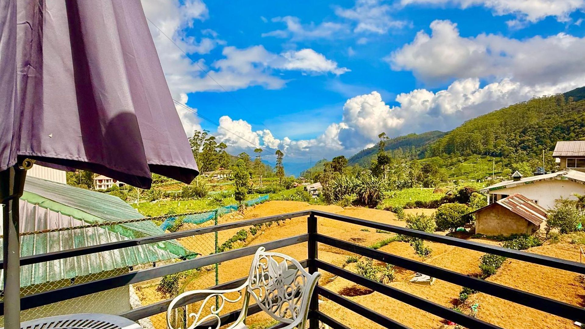 Guest house Nicholas