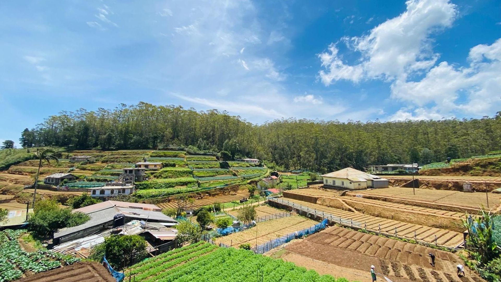 Camellia Hills Holiday home Nuwara Eliya