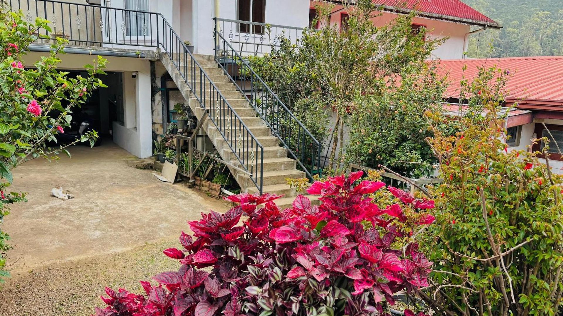 Camellia Hills Holiday home Nuwara Eliya