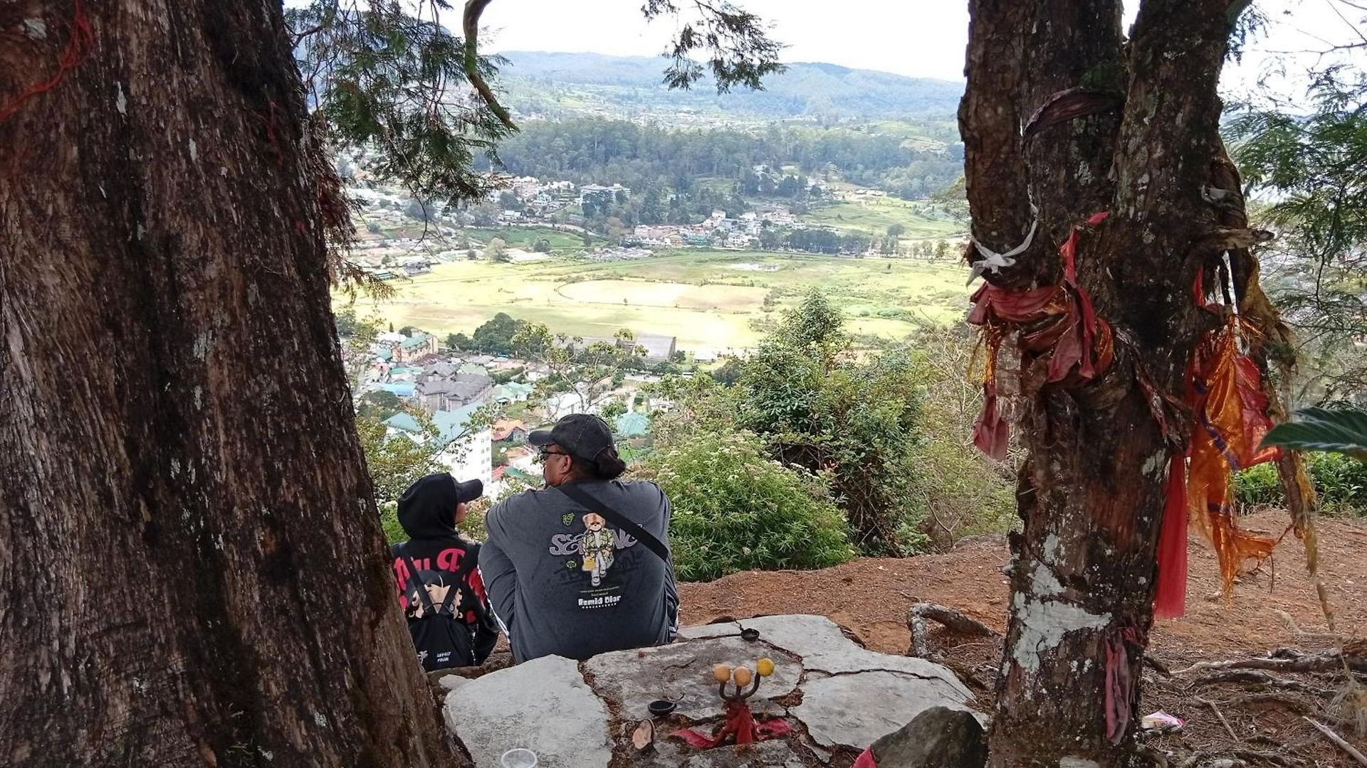 Woods Hut * Nuwara Eliya