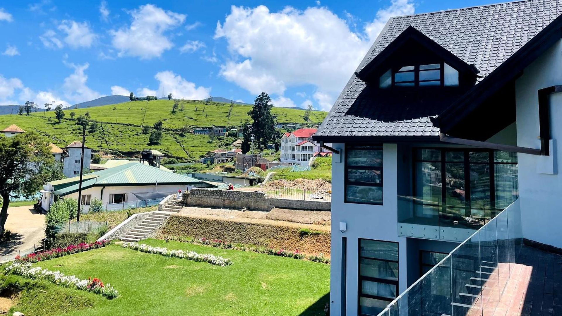 Tea Plant * Nuwara Eliya