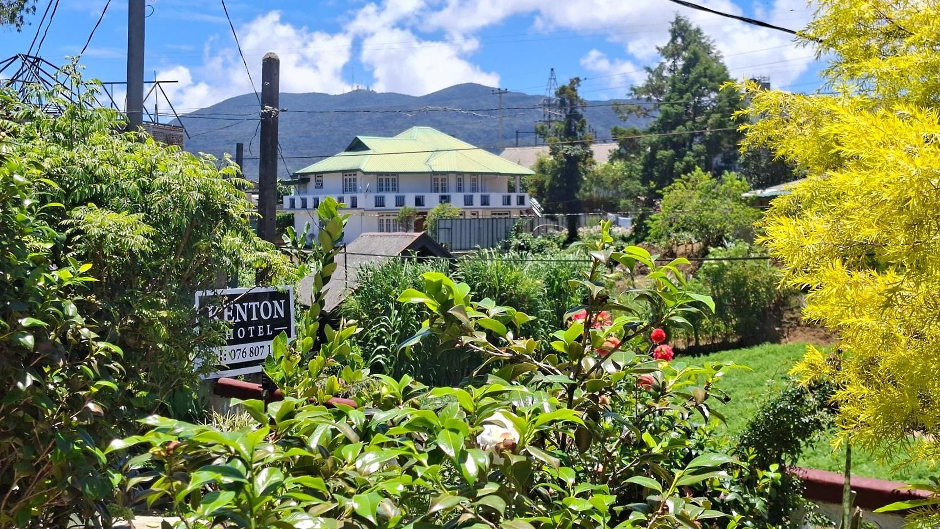 Kenton Guest house