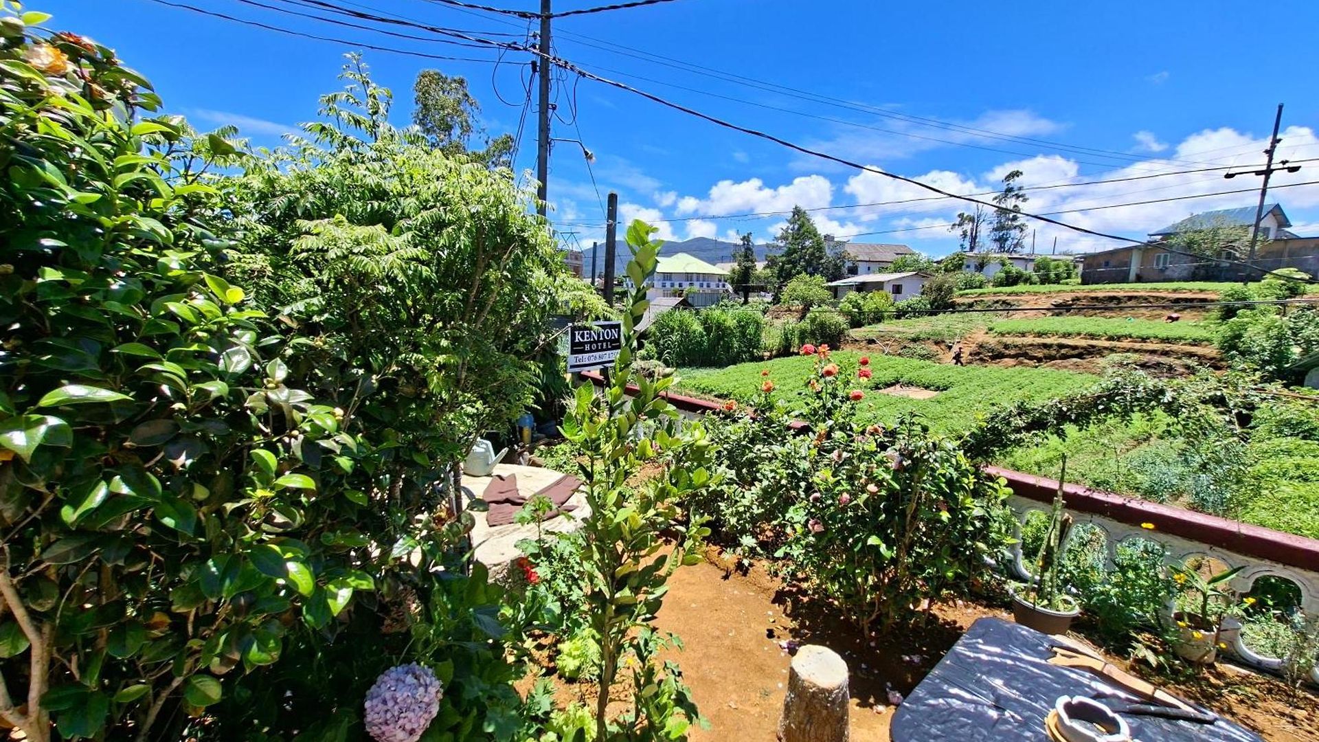 Kenton Guest house Nuwara Eliya